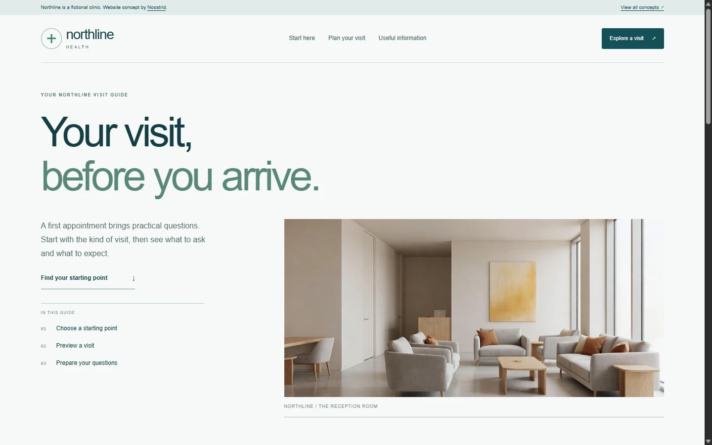 Actual desktop preview of the health concept website