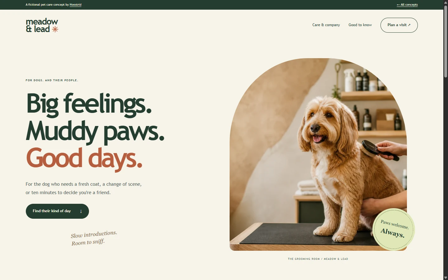 Actual desktop preview of the pets concept website