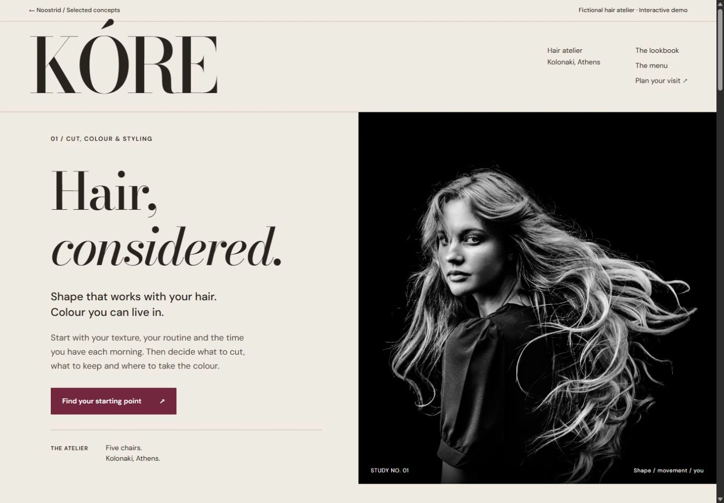 Actual desktop preview of the salon concept website